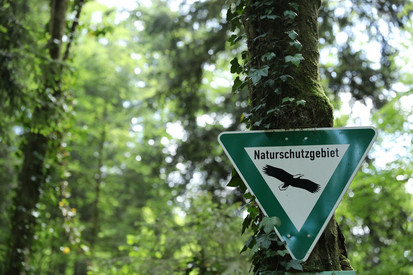 Schild Naturschutzgebiet im Wald